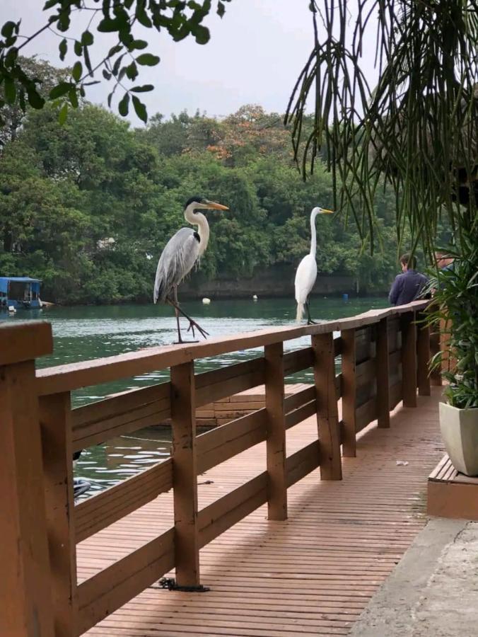 Barra Da Tijuca Rio De Janeiro Ilha Da Gigoia公寓 外观 照片
